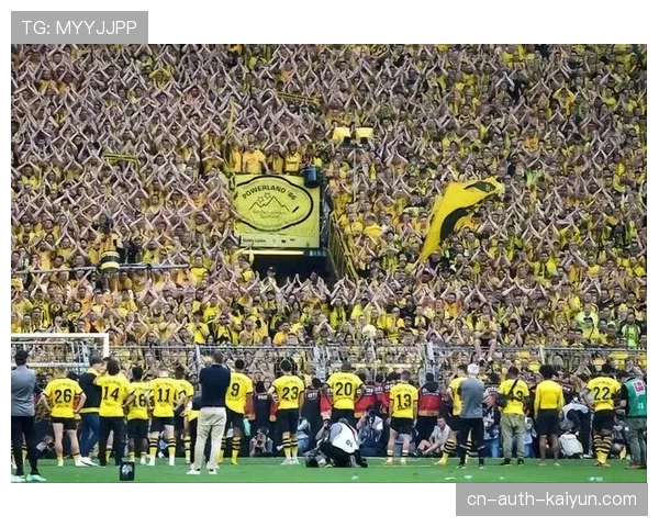 罗伊斯重返威斯特法伦观战 多特蒙德传奇引发球迷致敬